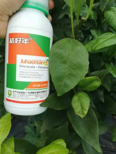 1654744126161224.png 圖片 4.png