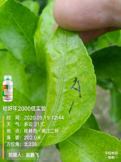 1654744133157508.png 圖片 12.png