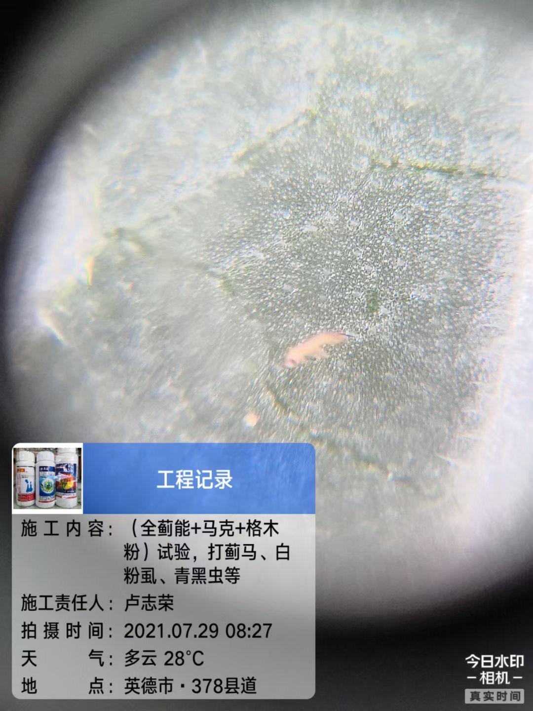 1654828762236937.png 圖片 8.png