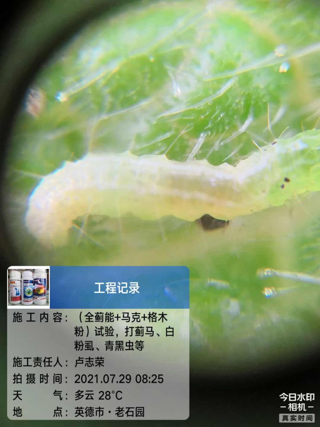 1654828795173591.png 圖片 9.png