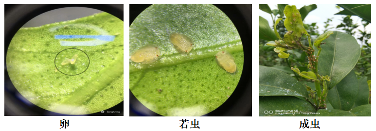 1654834016115351.png 圖片 1(1).png
