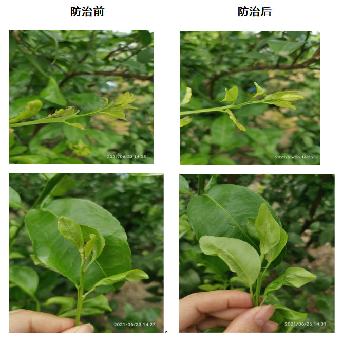 1654834246843000.png 圖片 2.png