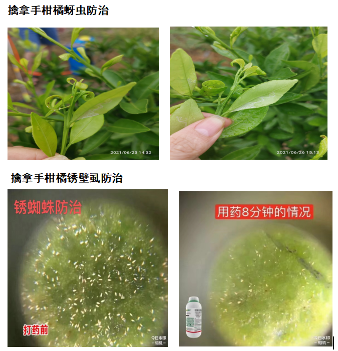 1654834278100410.png 圖片 3.png