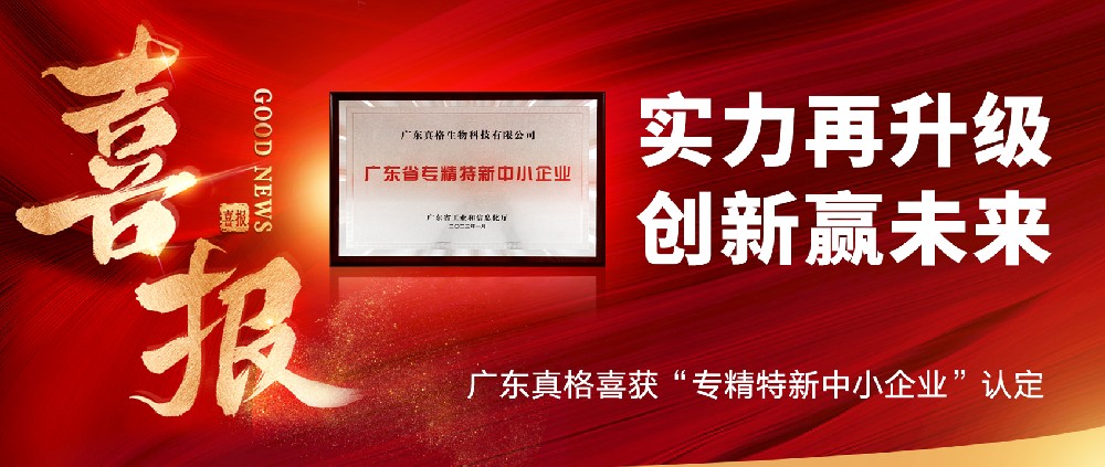 實力再升級,創新贏未來! ——廣東真格喜獲“專精特新中小企業”認定